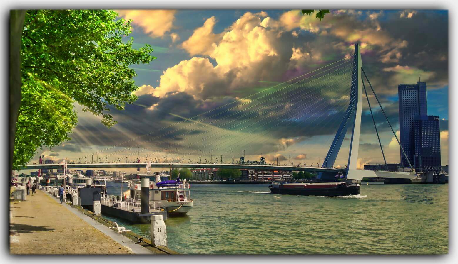Rotterdam Erasmusbruecke Boot Holland Nordsee Niederlande 01